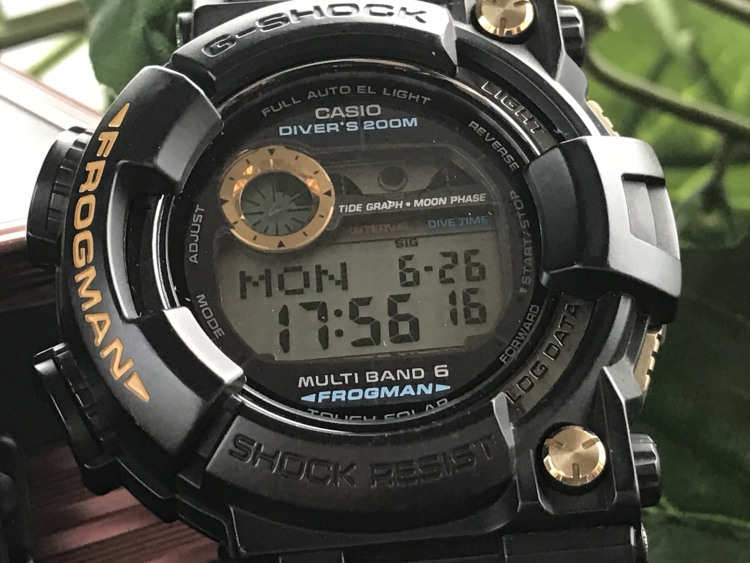 gwf1000g